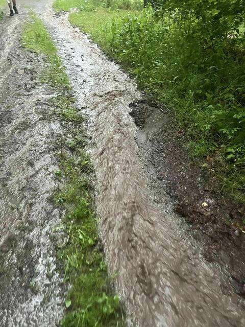 Foto: Steven Jaspers