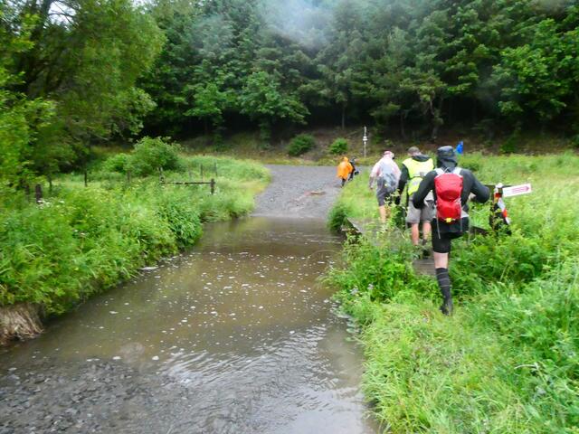 Foto: Steven Jaspers