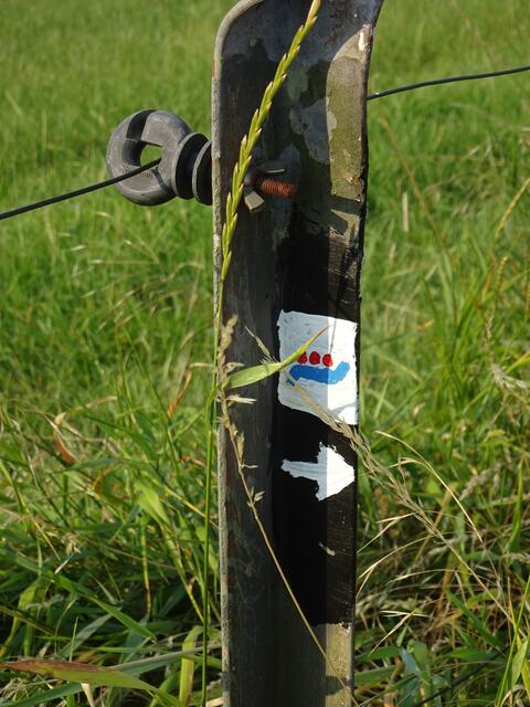 Der Steig ist gut markiert. 