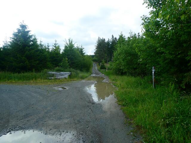 Foto: Steven Jaspers