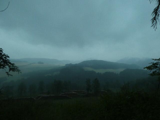 Foto: Steven Jaspers