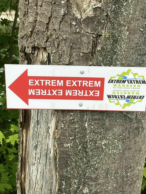 Foto: Steven Jaspers