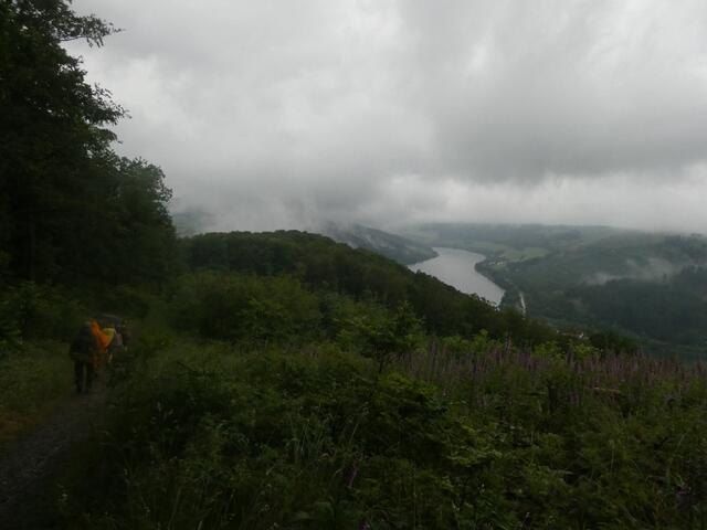 Foto: Steven Jaspers