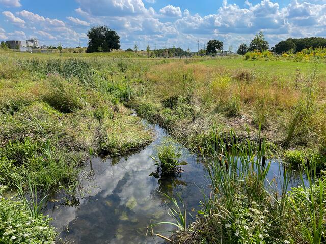 Ein Stück des renaturierten Suderwicher Baches