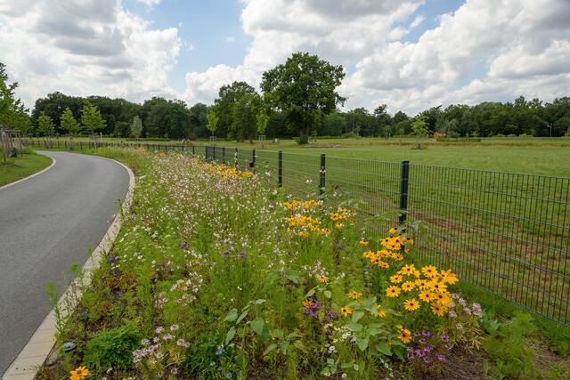 Der Emscherradweg ist vom Emscherland (rechts) baulich getrennt.