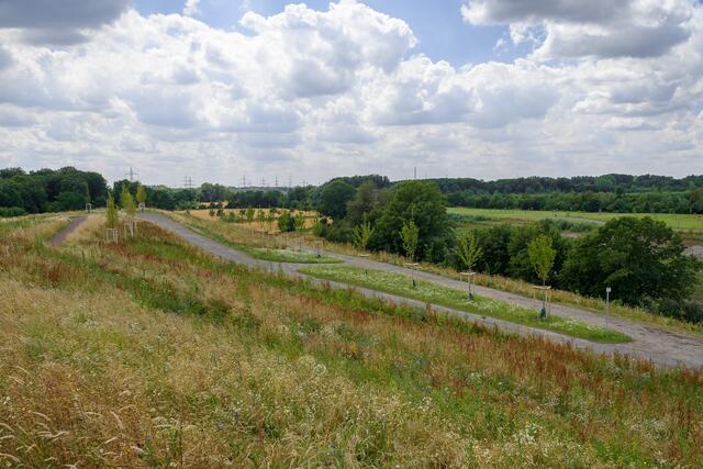 Wegenetz auf einer Seite des Aussichtshügels