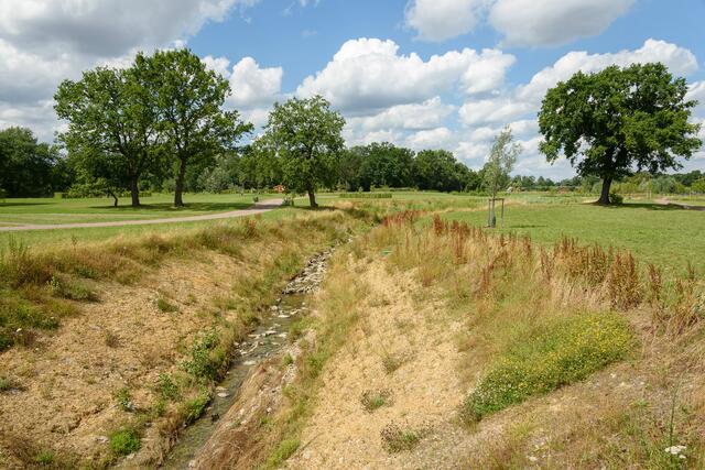 Auch der Verlauf des Suderwicher Baches wurde renaturiert.