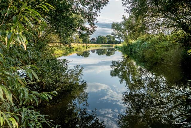 ... In diesem kleinen "Stever-Dschungel" sahen wir sogar den Eisvogel fliegen, leider nicht vor unsere Linsen ... | Foto: © Regine Hövel 2023