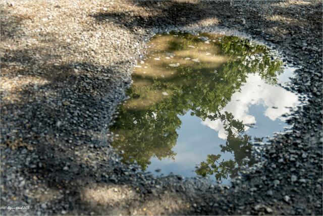 .. Regen war gestern ... heute war es heiter bis wolkig ... | Foto: © Regine Hövel 2023