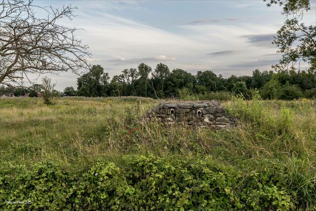 ... die Trockenmauer in der Stever-Aue ... | Foto: © Regine Hövel 2023