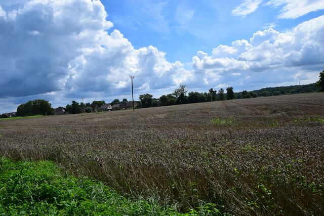 Blick vom Krudenburger Weg