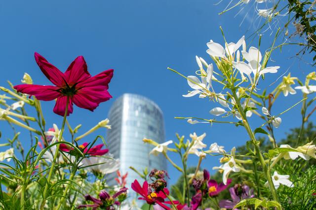 Der KölnTriangle nahe des Deutzer Bahnhofs. | Foto: Stefanie Vollenberg