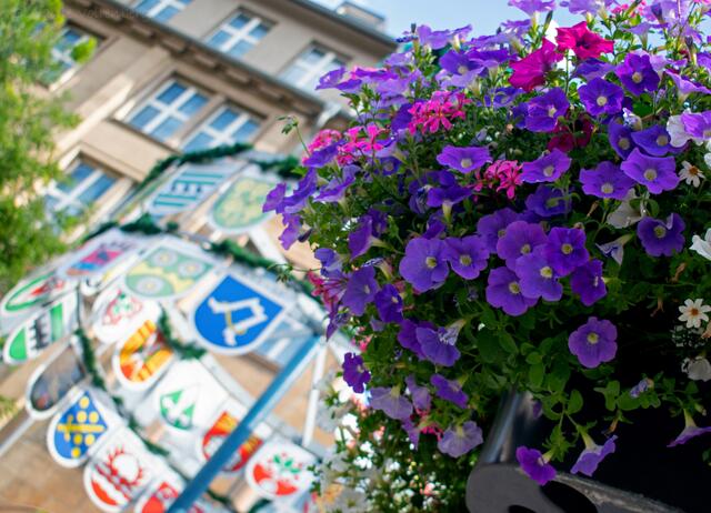 Die Wappen der Stadtteile im Hintergrund und einer von vielen farbenfroh bepflanzten Blumenkästen in der Essener Innenstadt. | Foto: Stefanie Vollenberg