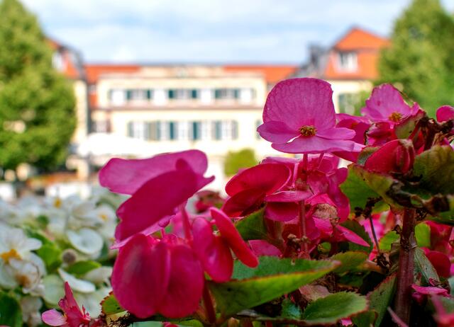 Schloss Berge in Gelsenkirchen Buer | Foto: Stefanie Vollenberg