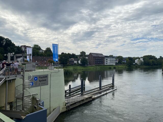 Fischaufzug | Foto: umbehaue