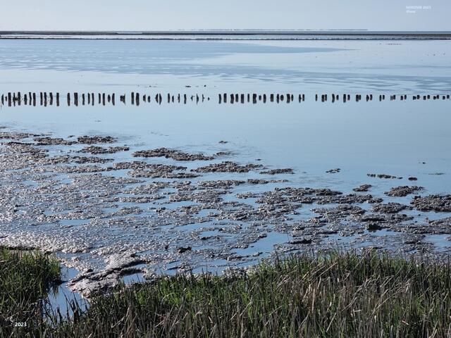 an der seutschen Nordsee ... WATTENMEER
SOMMER 2023@ana´