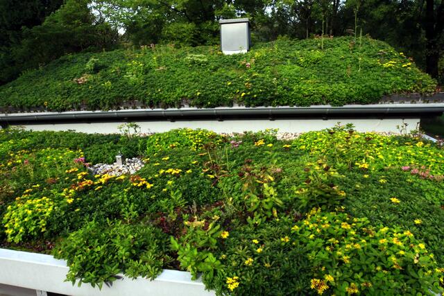 Vorteile der Dachbegrünung werden in einem der Themengärten demonstriert.