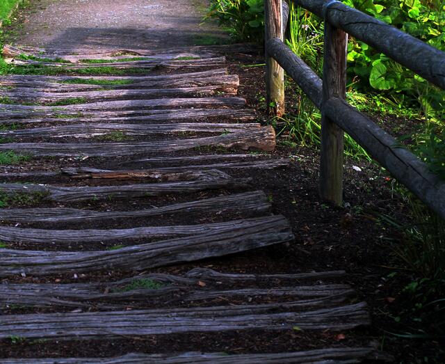 Am frühen Morgen ist man im Grugapark noch allein auf den Wegen.