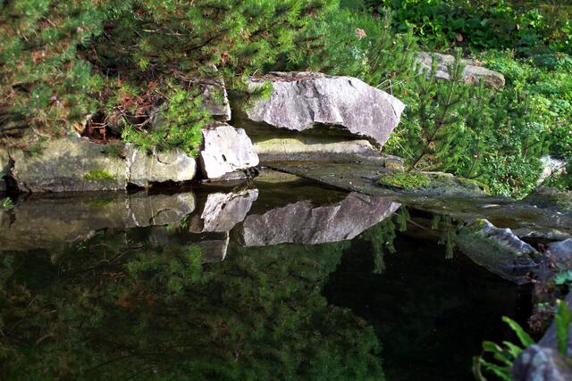 Wasserspiegelungen. Immer wieder ein tolles Fotoerlebnis.