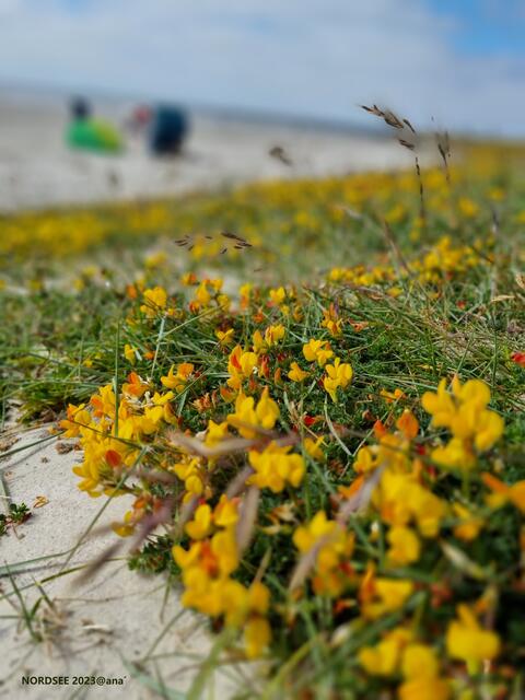 bewusst wahrnehmen :-)