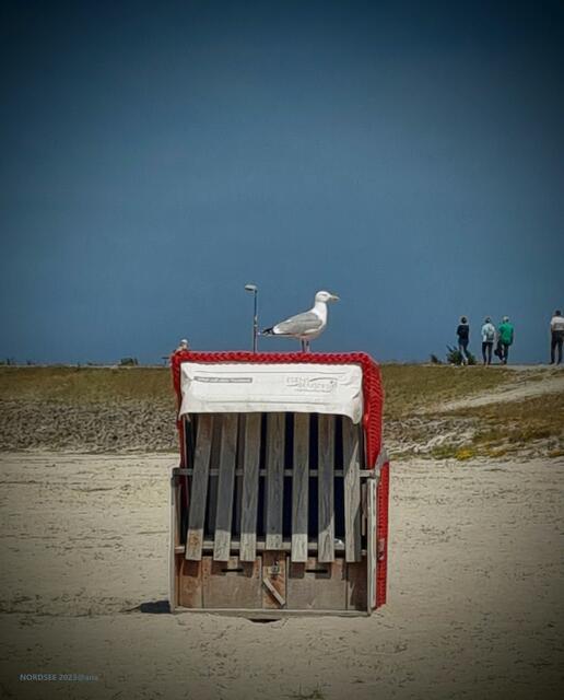 tssschüüüssss´bis zum nächsten MAL :-)