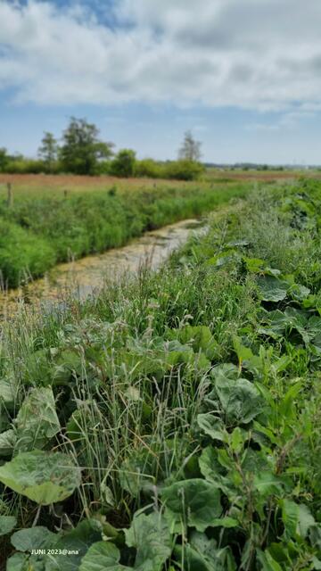 Umland... zu Bensersiel ♥