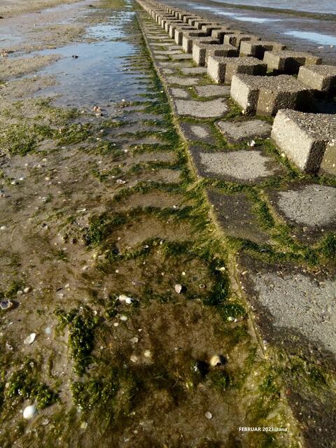... NORDSEE-Ufer bei Neuharlingersiel