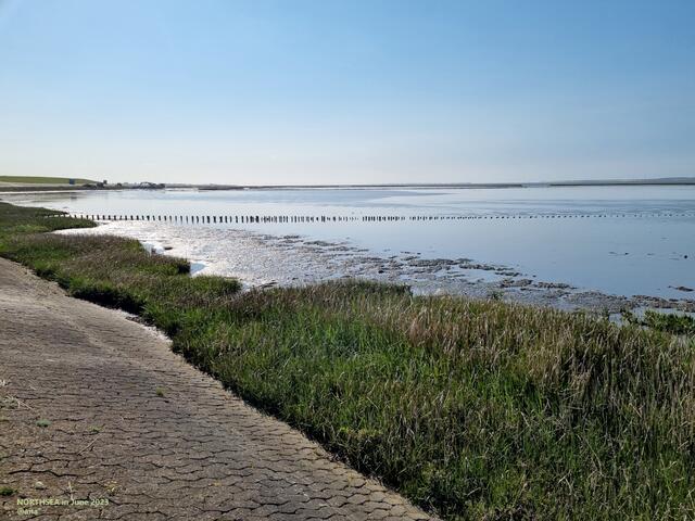 ....sich SATT SEHEN :-)