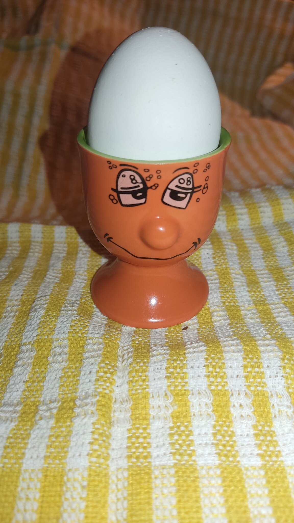 Politik ist, wenn man trotzdem meckert Emmerich am Rhein