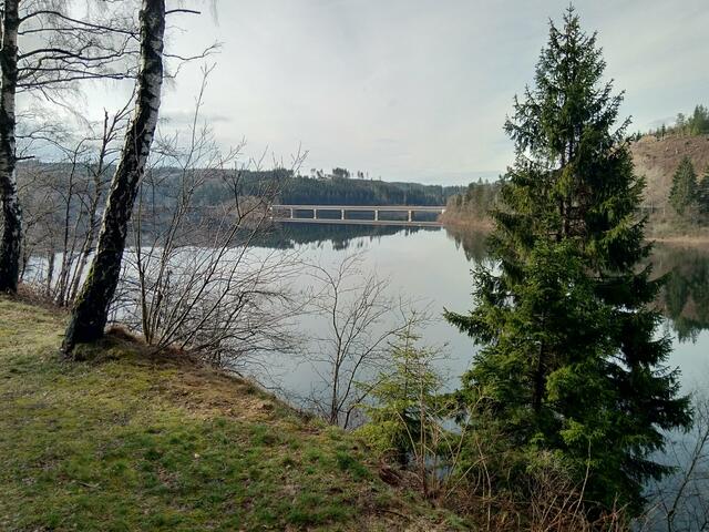 HEIMAT kann schön sein :-)
Harz 2023@ana´ 