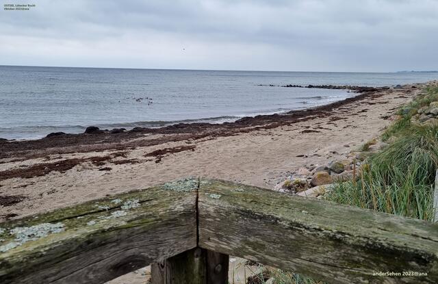 look different! :-) 
anderSehen 2023@ana an der deutschen Ostseeküste