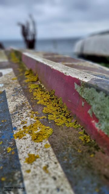 ein wenig speziell´.... Boote an der Ostsee/Lübecker Bucht:-)
2023@ana´