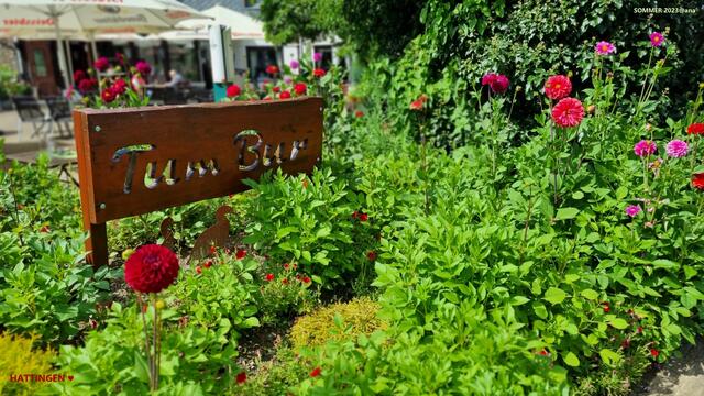 :-))))))))))))))))))))