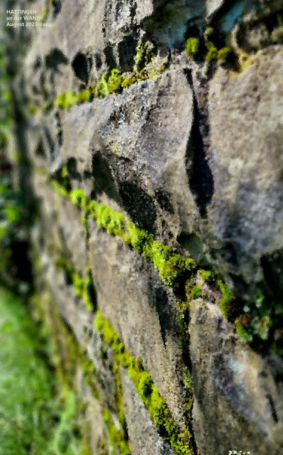 an der MOOS-Wand entlang :-)