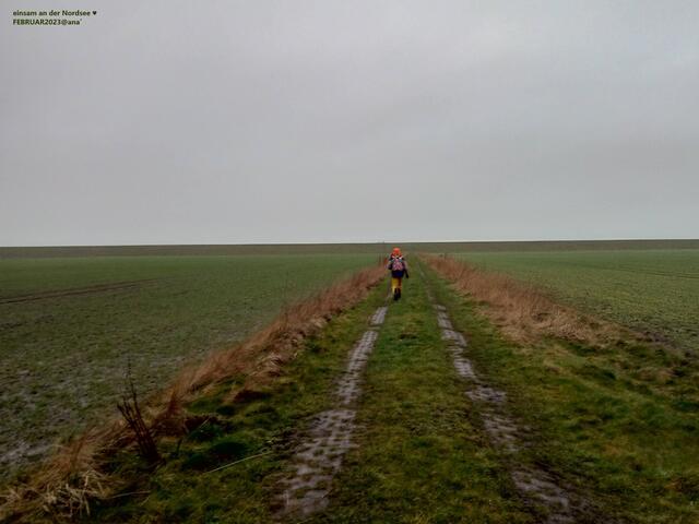 einsam ??? !!! ???
an der Nordsee 2023@ana´