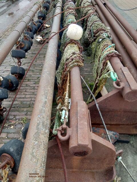 sehr speziell
Nordsee 2023