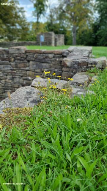Blümchen auf der Isenburg´