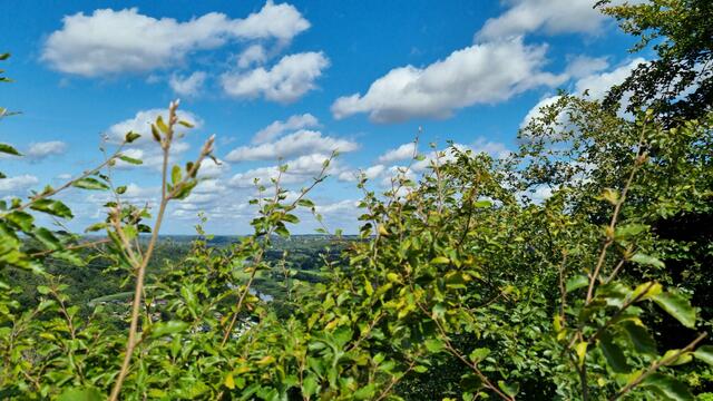 oben, von oben, vonne´ Burg´ aus :-))))))
2023@ana´