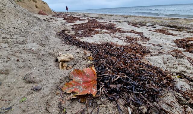 Herbst an der SEE ♥