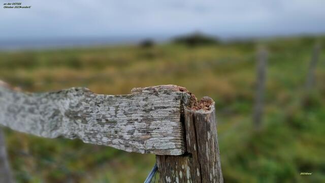 anderSehen an der OSTSEE ♥
2023@ana´