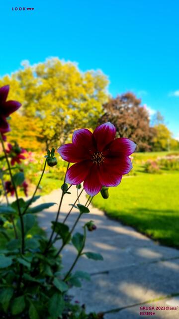 LOOK, die SCHÖNE dort ♥
2023@ana´