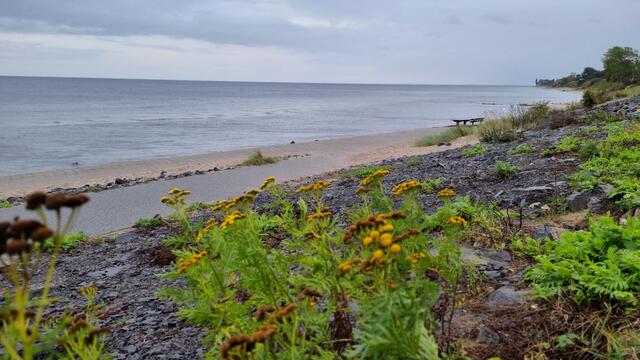 ...einfach spannend-schön