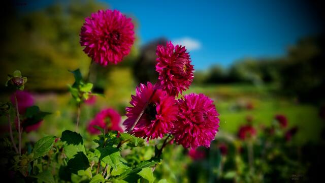 FARBEN FARBEN FARBEN
2023@ana´