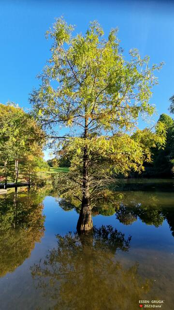sooo schön in der Welt... kann es sein :-)))