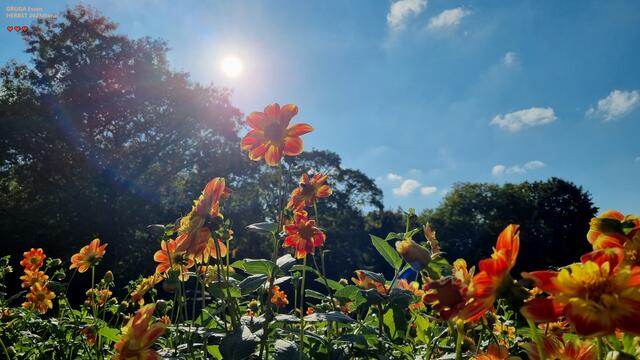SOOOOOOOOOOO schön kann meine HEIMAT sein ♥
2023@ana´ 