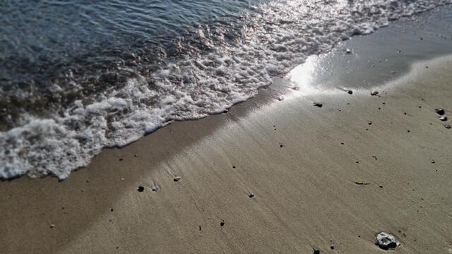 sooooooooo frsich :-)