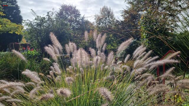 auch schön, finde ich :-)))