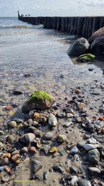 an der OSTSEE ♥