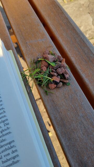 DANKE für die kurze, spontane lustige ZEIT, Ihr Zwei ♥
Möget Ihr weiterhin gewaltfrei leben :-)))
Gruß :-)