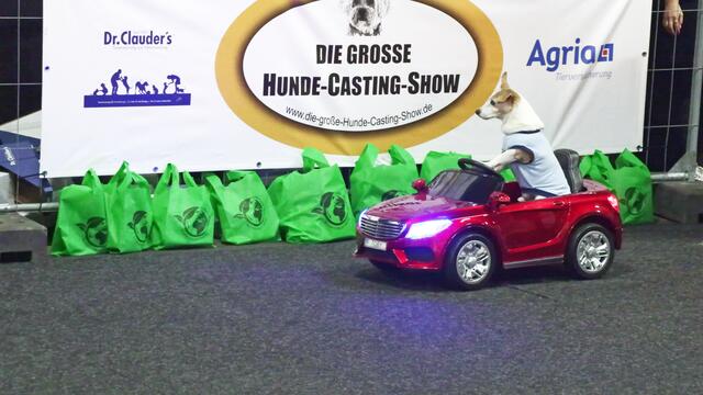 "DIE-GROSSE-HUNDE-CASTING-SHOW 2023"
"Toby" mit Rüdiger Kramer kommt natürlich standesgemäß mit einem Sport-Cabrio ferngesteuert auf die Bühne gefahren.
 | Foto: Ulrich Rabenort